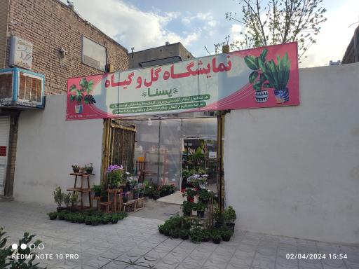 عکس گلخانه یسنا