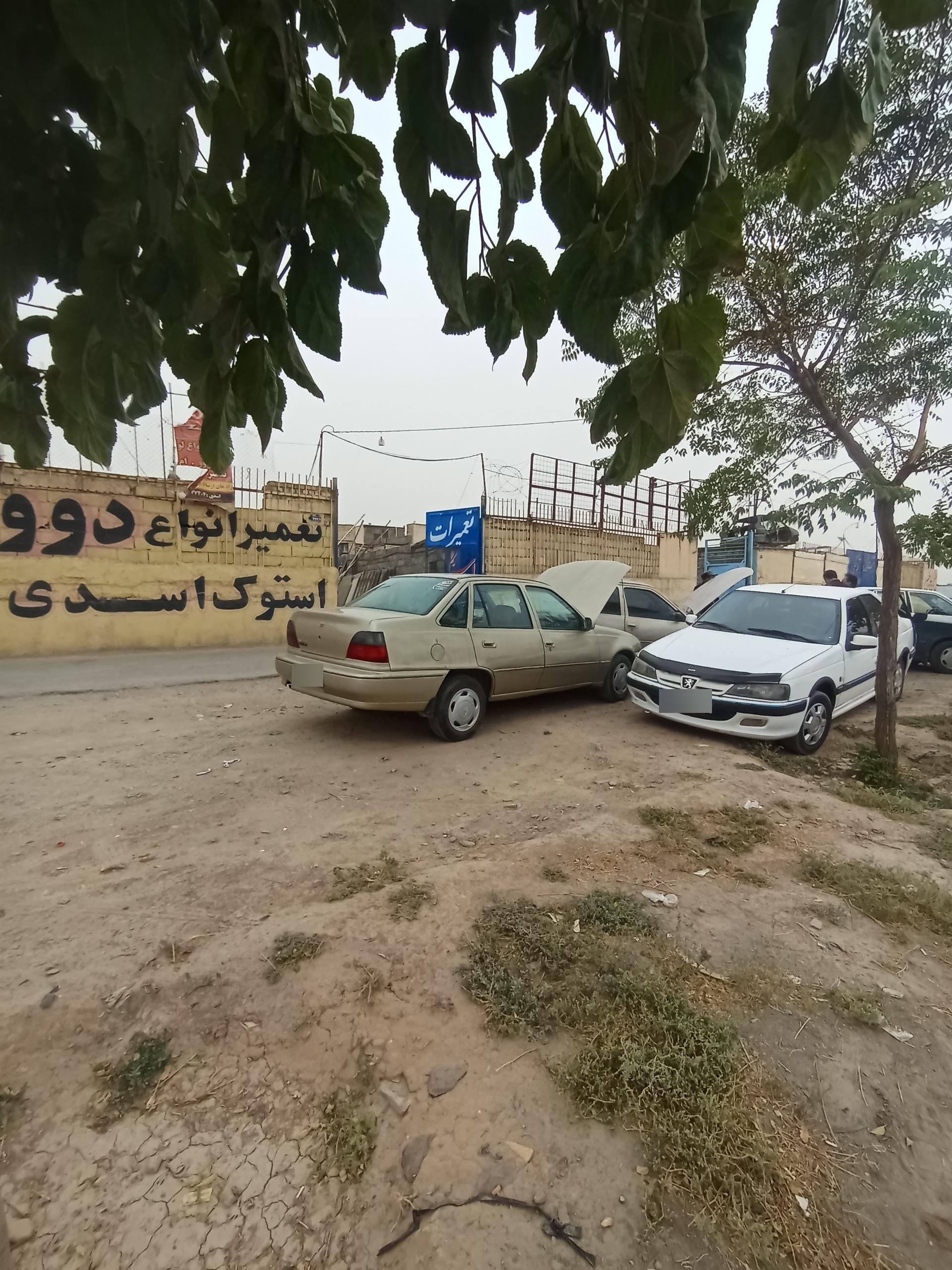 عکس استوک اسدی