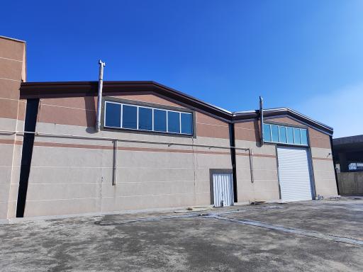 عکس گروه غذایی بالتا