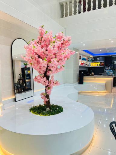 عکس کافه قنادی مامان موچی