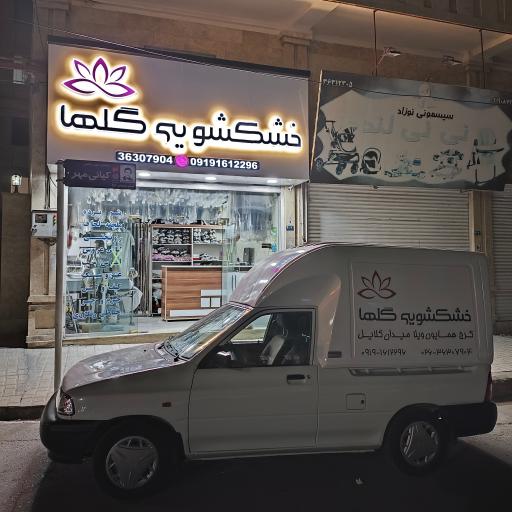 عکس خشکشویی گلها ۳