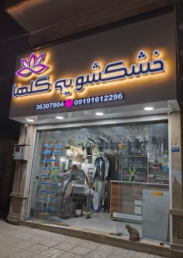 عکس خشکشویی گلها ۳