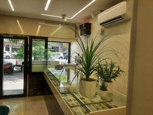 سکه آبشده پیشگاهی