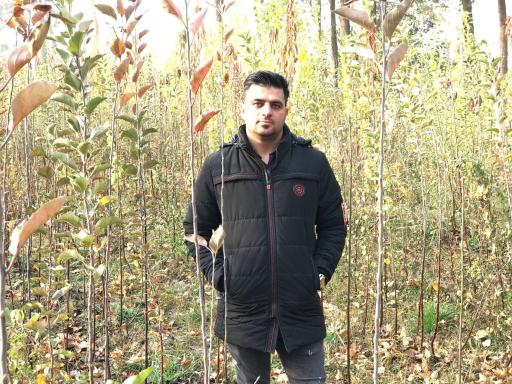 عکس نهالستان شاهین توللی