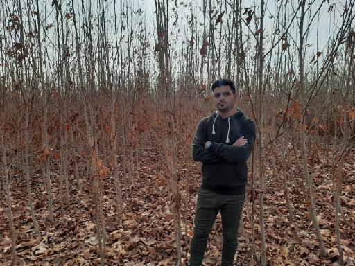 عکس نهالستان شاهین توللی