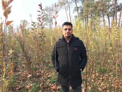 عکس نهالستان شاهین توللی