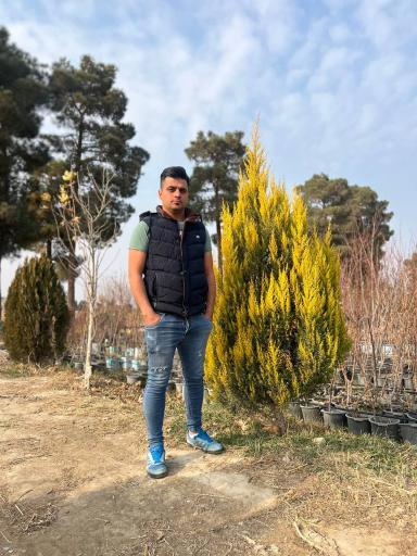 عکس نهالستان شاهین توللی