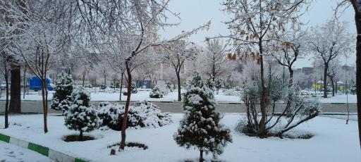 عکس پارک شهدا