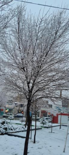 عکس پارک شهدا