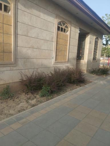 عکس توالت عمومی