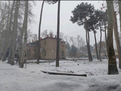 عکس موسسه تحقیقات واکسن و سرم سازی رازی