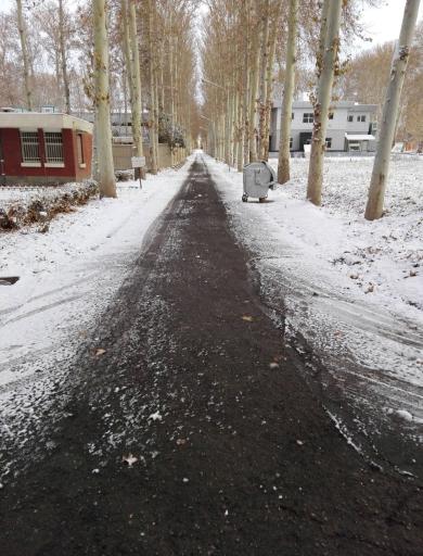 عکس موسسه تحقیقات واکسن و سرم سازی رازی