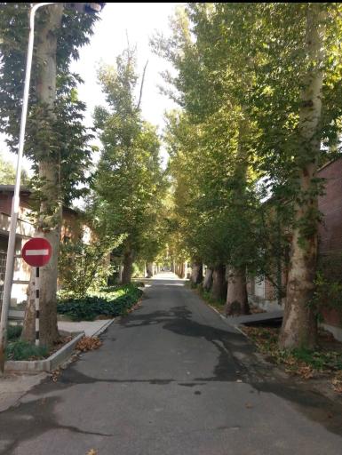 عکس موسسه تحقیقات واکسن و سرم سازی رازی