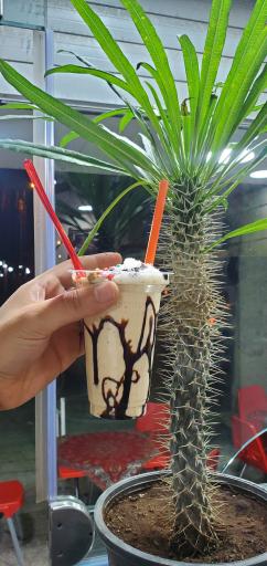 عکس بستنی بابا حاجی