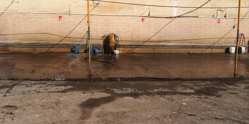 عکس کارواش رویال