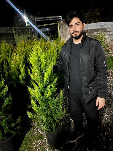 عکس باغ گل آیریس