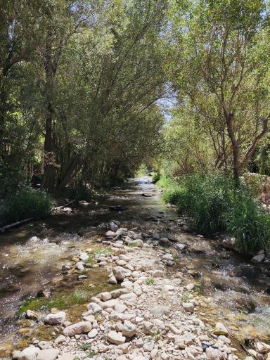 عکس سرچشمه تنگ تیزاب