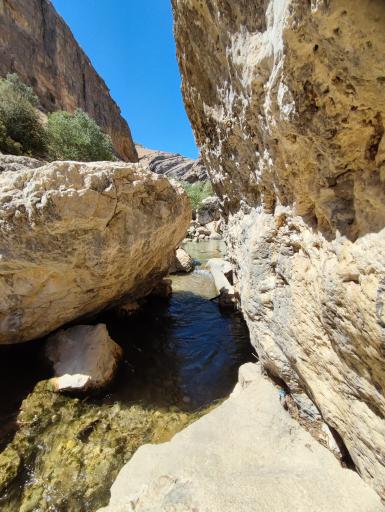 عکس سرچشمه تنگ تیزاب