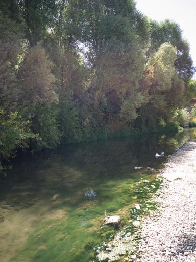 عکس سرچشمه تنگ تیزاب