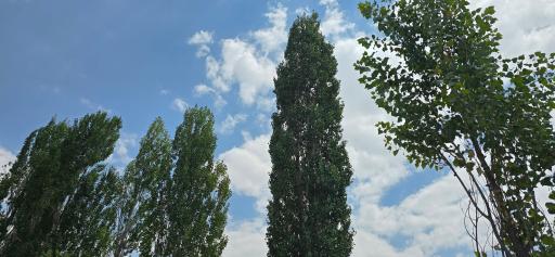 عکس سرچشمه تنگ تیزاب