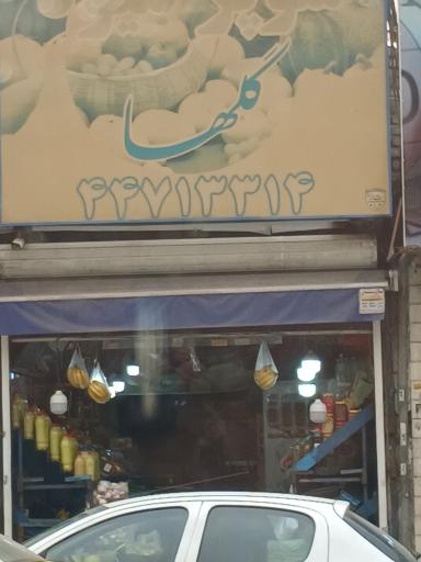 عکس سوپر میوه گلها