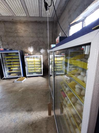 عکس فروشگاه دستگاه جوجه کشی دی کیو شاپ