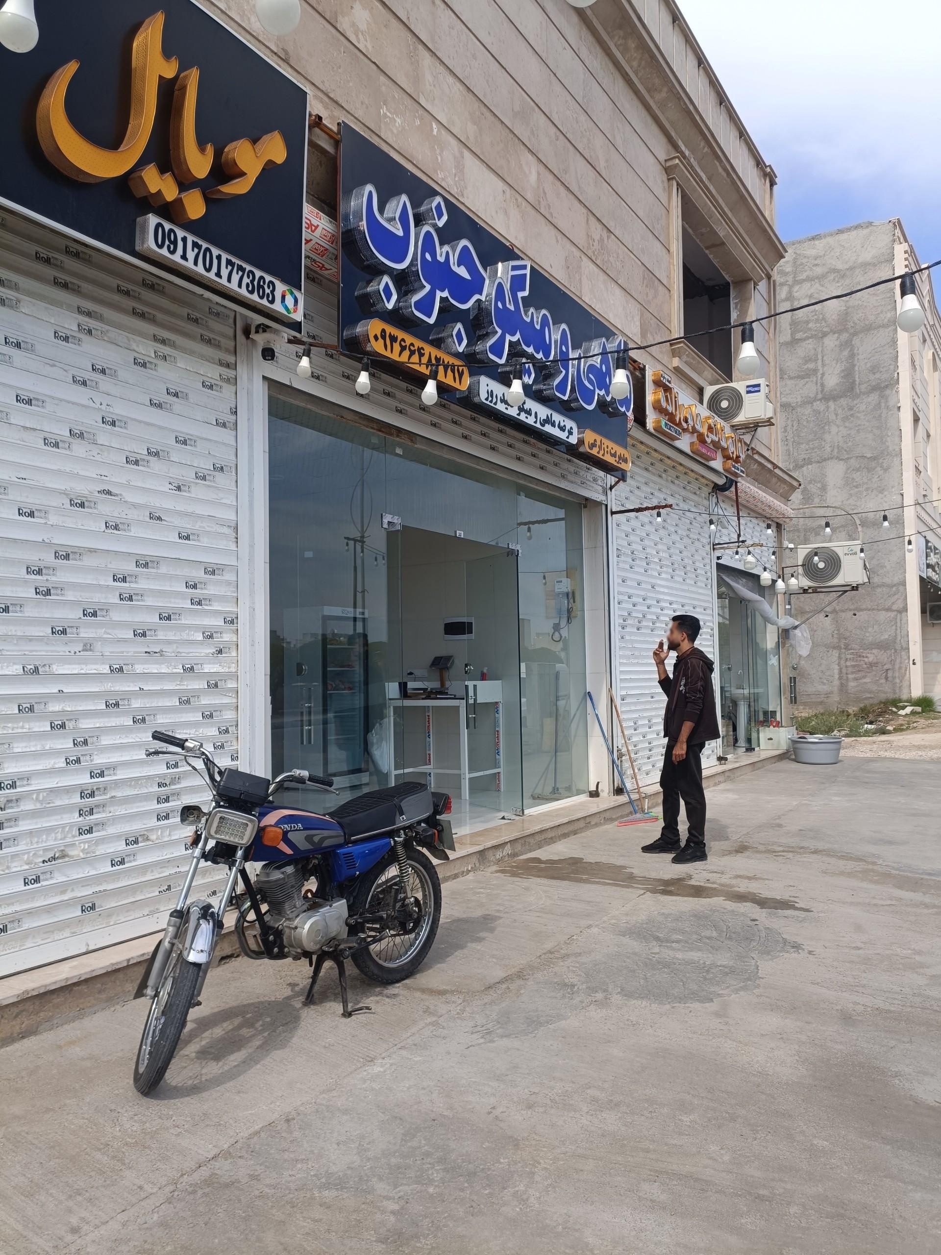 عکس مرغ و ماهی جنوب