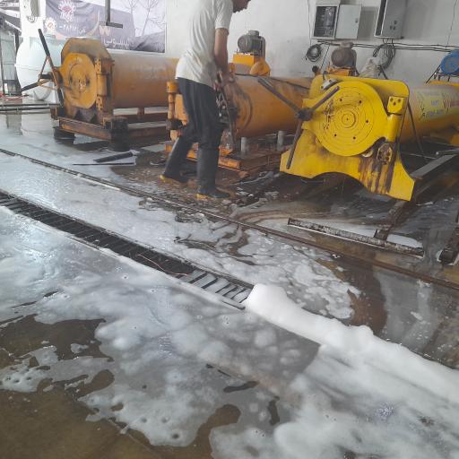 عکس قالیشویی پرندمهر 