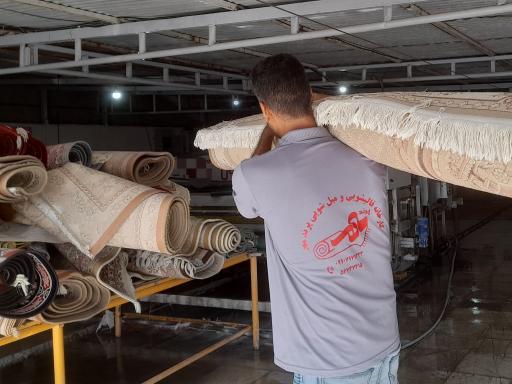 عکس قالیشویی پرندمهر 