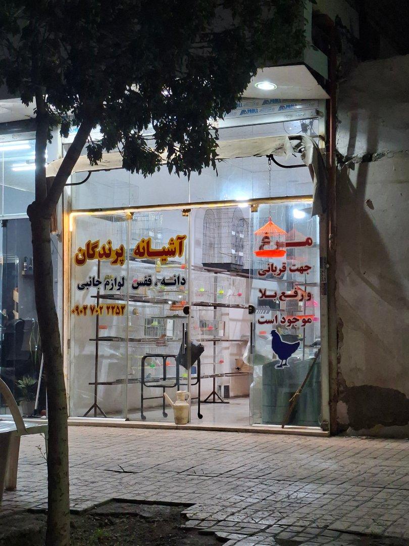 عکس آشیانه پرندگان