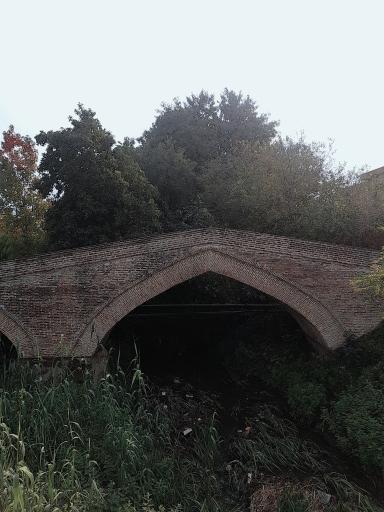 عکس پل تاریخی نور