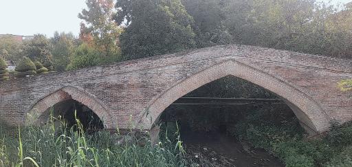 عکس پل تاریخی نور