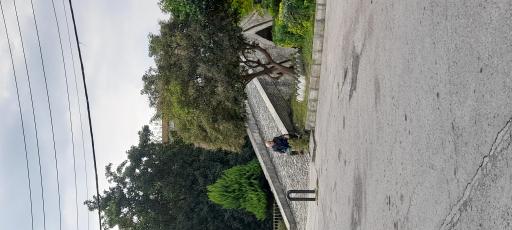 عکس پل تاریخی نور