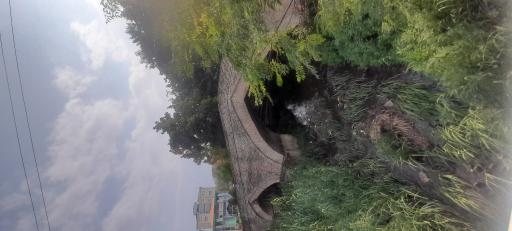 عکس پل تاریخی نور