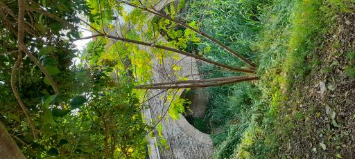 عکس پل تاریخی نور