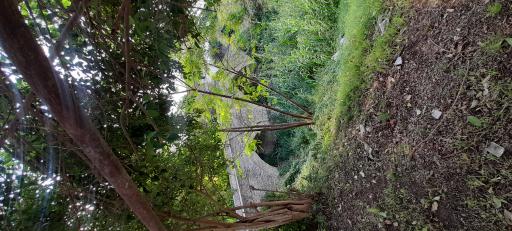 عکس پل تاریخی نور