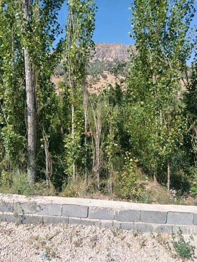 عکس سرچشمه تنگ تیزاب
