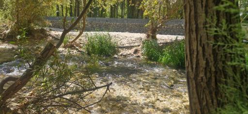 عکس سرچشمه تنگ تیزاب