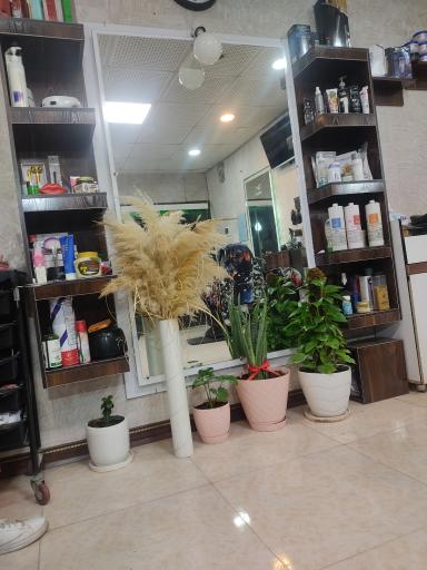 عکس پیرایش ماهان