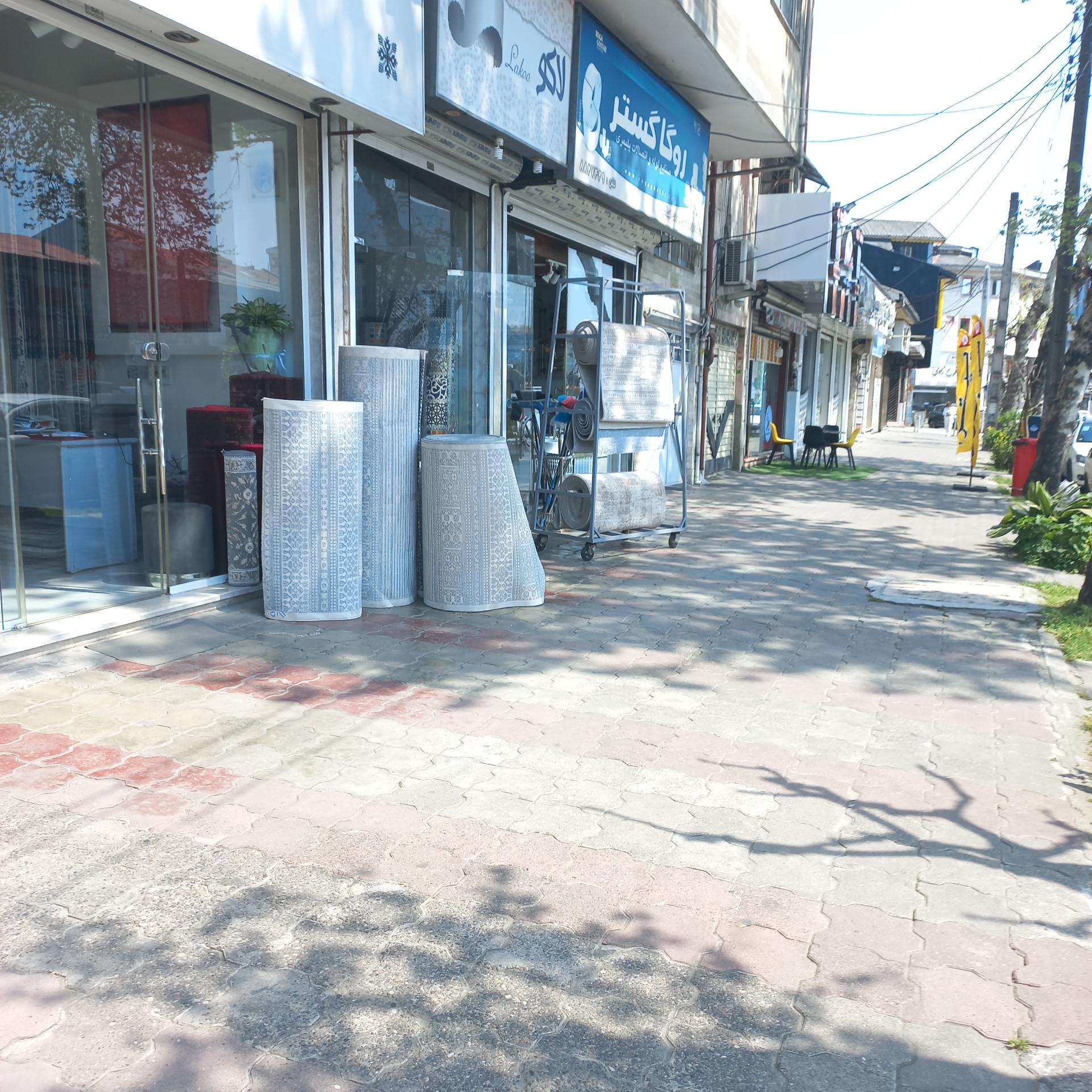 عکس گالری فرش صالح