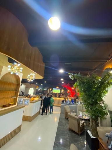 عکس کافه رستوران چنار 