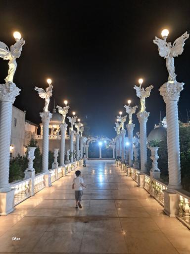 عکس عمارت رز