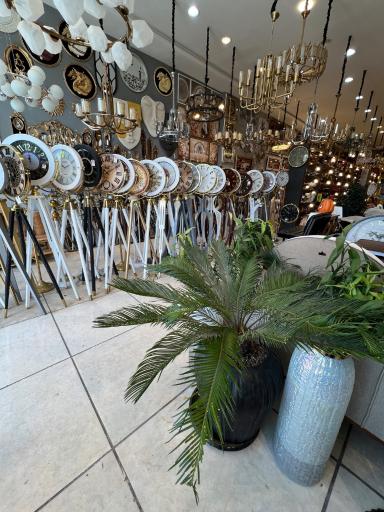 عکس گالری ونیز