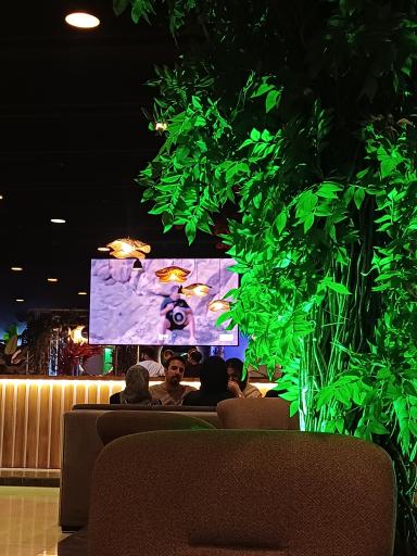 عکس کافه رستوران چنار 