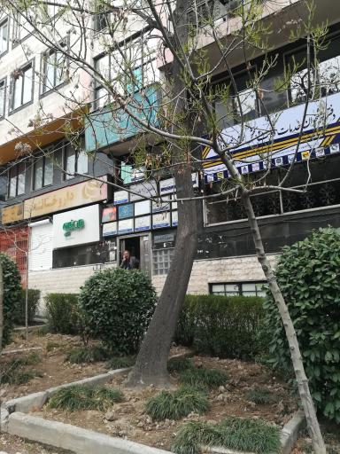 عکس دکتر همایون پاک روان نسب