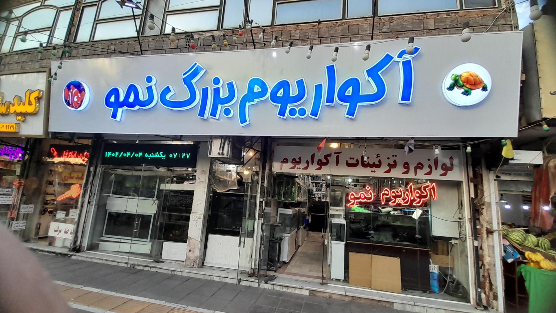 عکس آکواریوم نمو