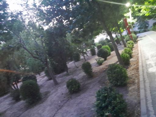 عکس پارک مکعب