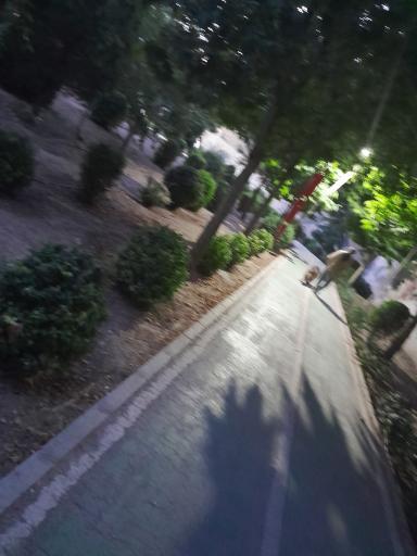 عکس پارک مکعب