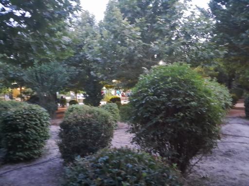 عکس پارک مکعب