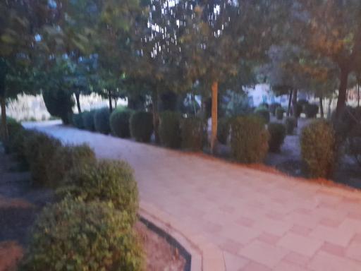 عکس پارک مکعب